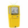 BW Technologies GasAlertMax XT II Gas Detectors, Full Kit w/ Meter