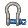 Campbell 3/4" Screw Pin Anchor" Shackle, Forged, Galvanized