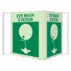 " EYEWASH STATION" Sign w/ Graphic, Plastic, 6" x 9"