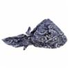 Ergodyne Chill-Its® Evaporative Cooling Triangle Hat/Bandana w/ Cooling Towel, Navy Western