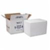 Standard Insulated Foam Container, 8"x 6"x 9"