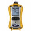 Rental Rae Systems Gas Monitor Kit