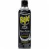 Raid Killer Wasp/Hornet Spray, 14 oz.