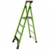 Little Giant MightyLite 2.0 ladder