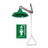 AXION® MSR Emergency Drench Shower, Galvanized