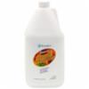 Benefect 1 gallon jug atomic fire and soot degreaser, 4/cs
