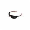 DiVal Di-Vision Safety Glasses, Anti-Fog Gray Lens, Red Trim