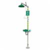 AXION® MSR Emergency Shower and Eye/Face Wash, with Green ABS Plastic Bowl