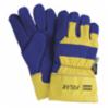 North Polar Insulated Leather Palm Gloves, Yellow/Blue, 72/CS