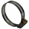 Stainless Steel Hose Clamp, 13/16" to 1-1/2"