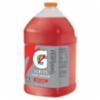 Gatorade® Thirst Quencher Liquid Concentrate, 1 Gallon, Fruit Punch
